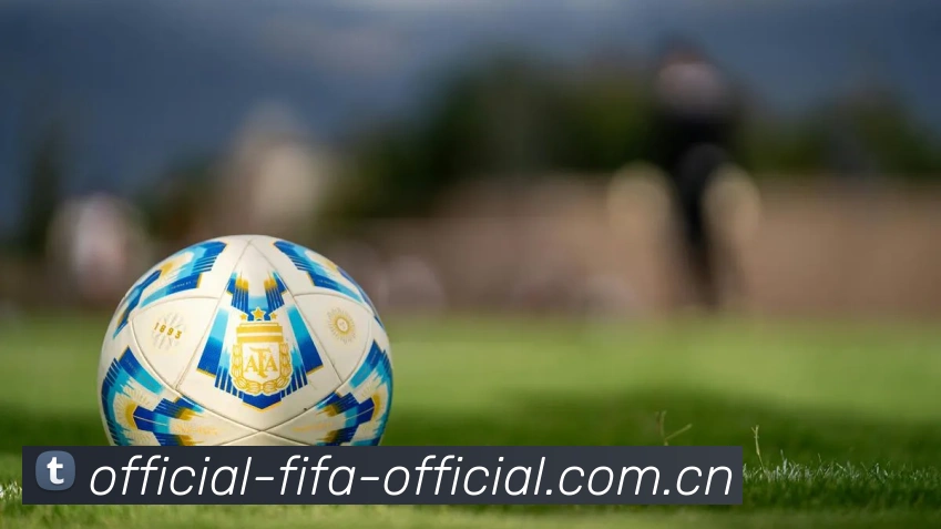 FIFA 官方数据授权认证